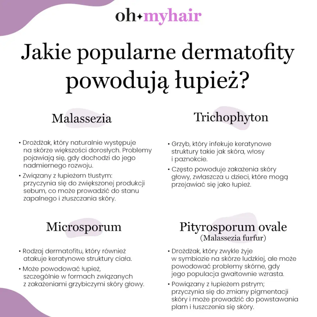 Popularne dermatofiry wywołujące łupież - infografika Oh My Hair
