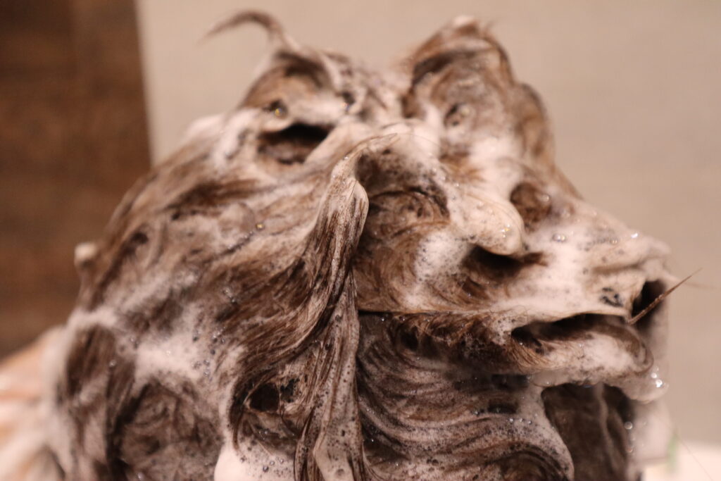 szampon L'Oréal Professionnel Pro Longer spieniony na włosach