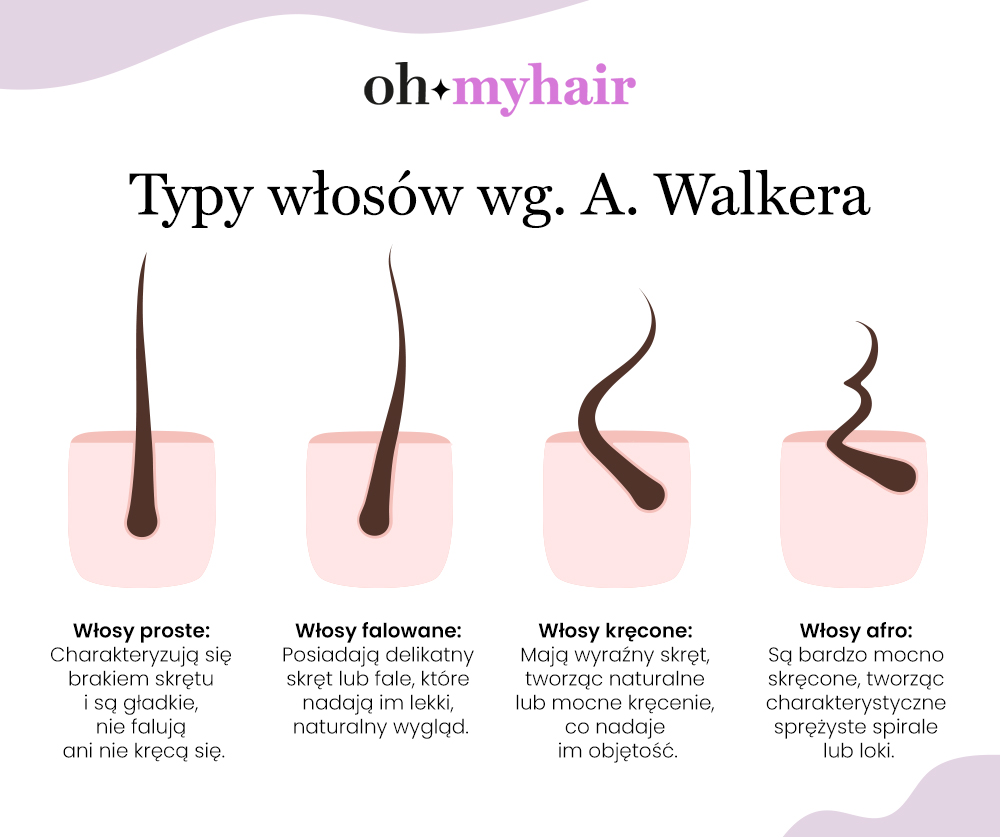 Infografika Oh My Hair: Typy skrętu włosów